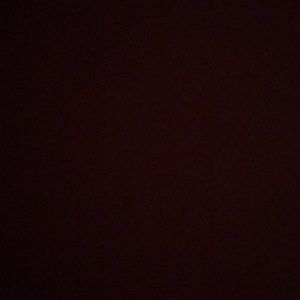 Meet your Posher, Bella